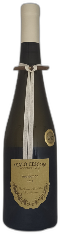 Sauvignon "Il Tralcetto" 2023