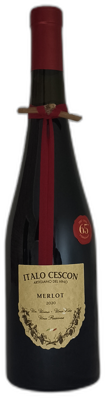Merlot "Il Tralcetto" 2020
